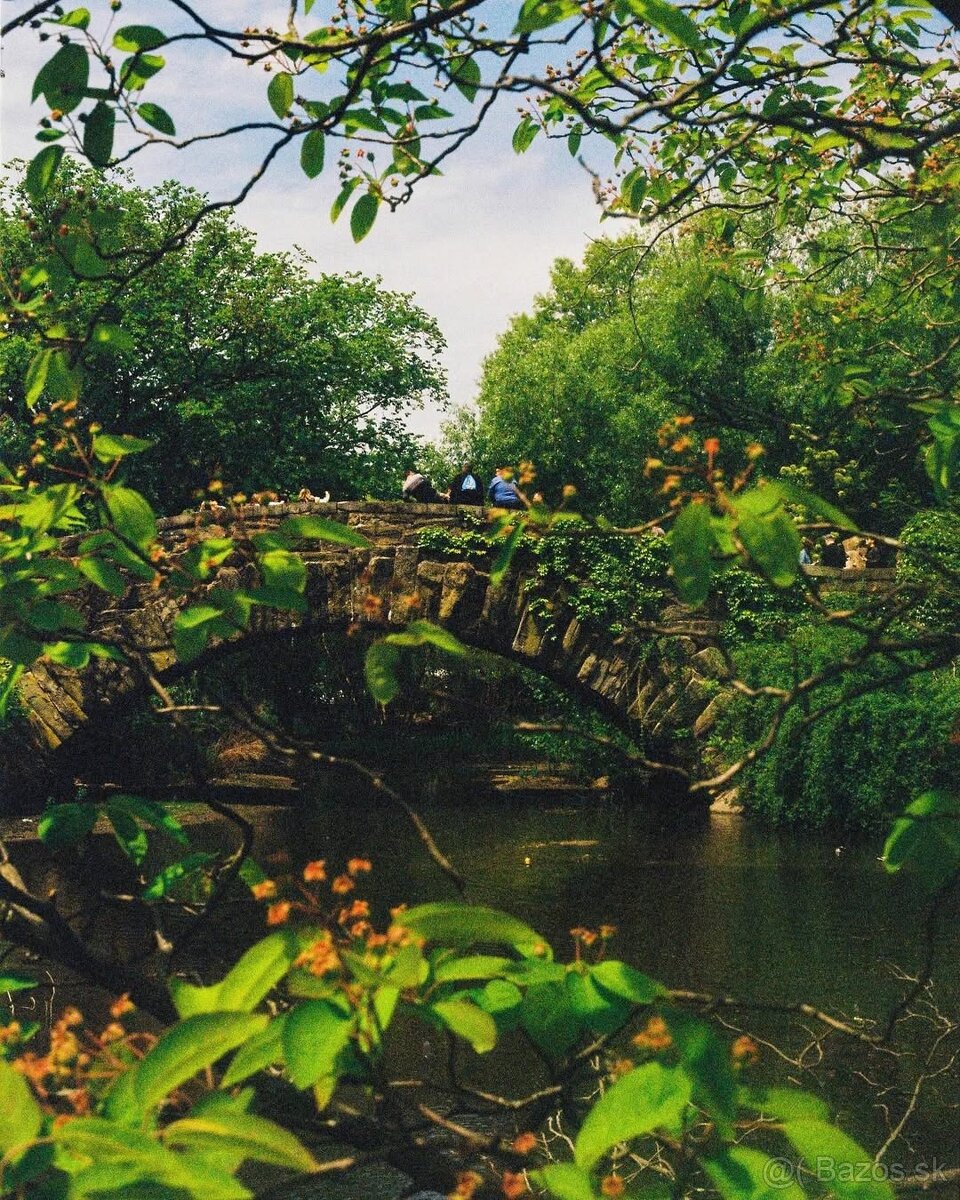 Predám Minolta Dynax 5000AF + Minolta AF 50mm f/1.7 - 5