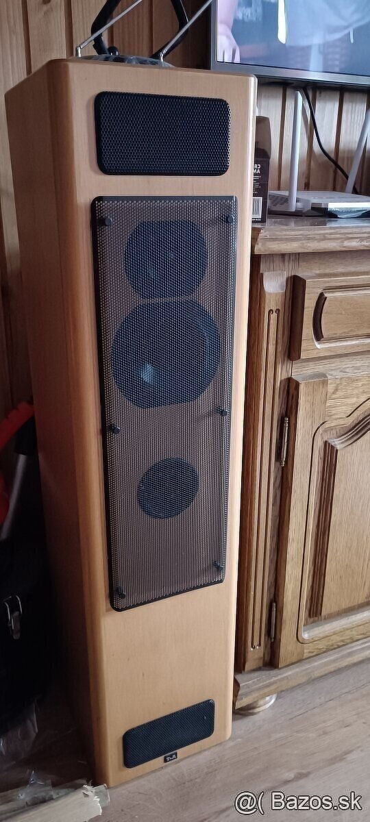 T+A criterion TB 100 - 5