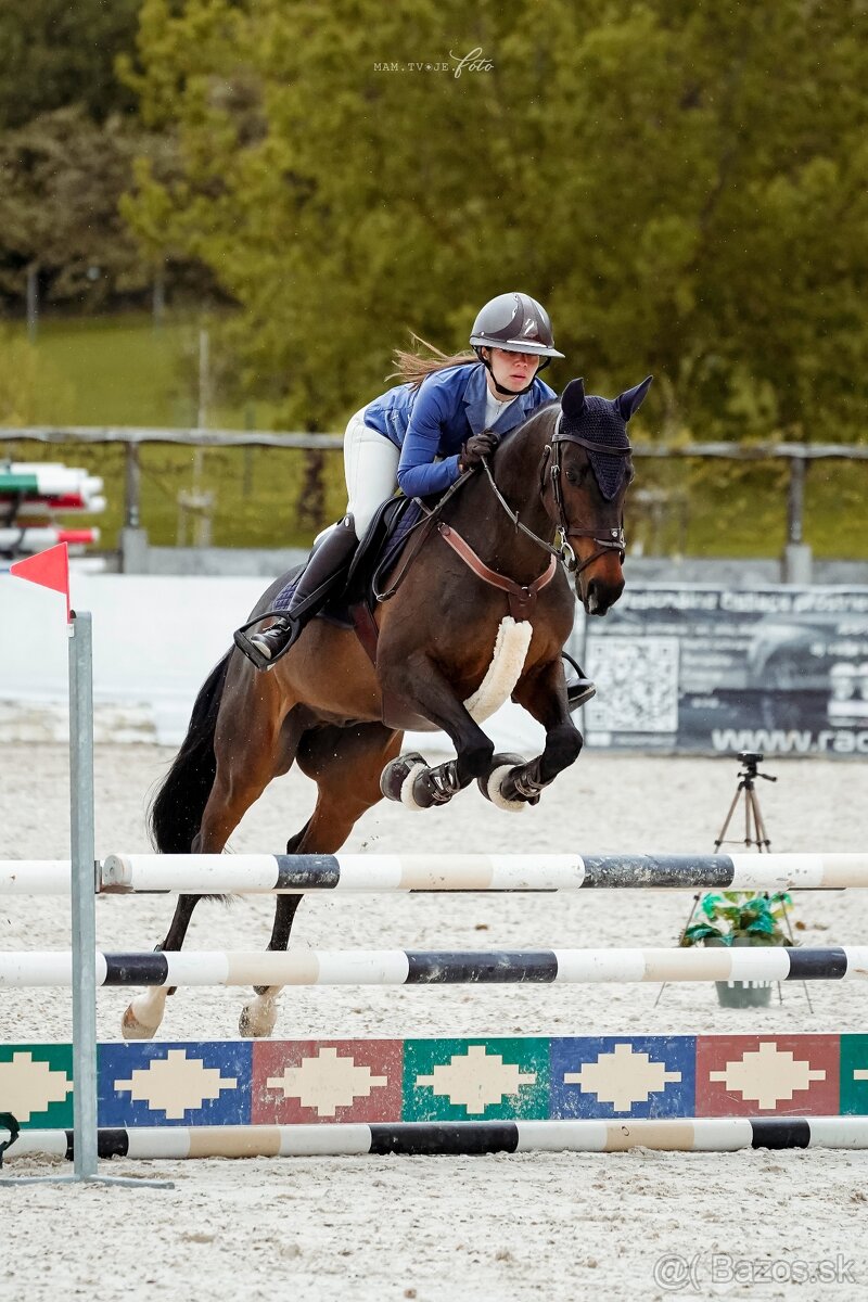 Predám koňa - A1/1, výborny parťák na jazdenie aj prácu - 5