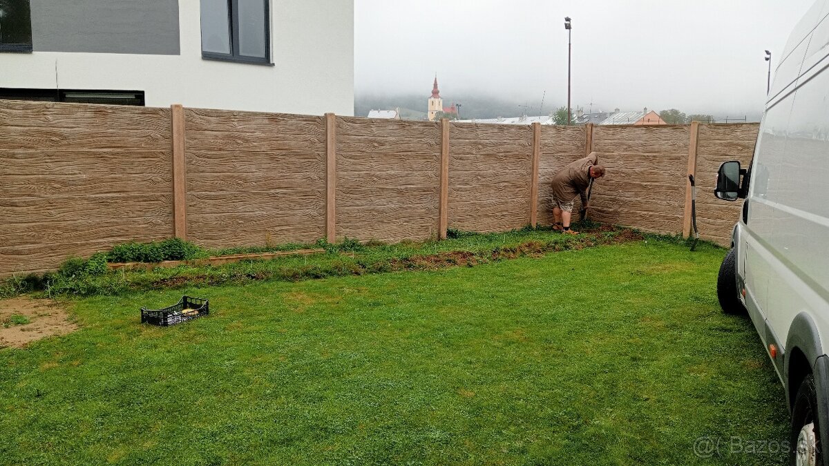 Tuja Smaragd, vavrínovec, červienka, gaštan - Rožňava - 5