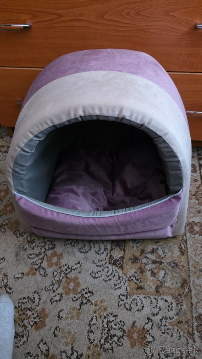 Nova kukaňa pekech ore macky a psy - 5