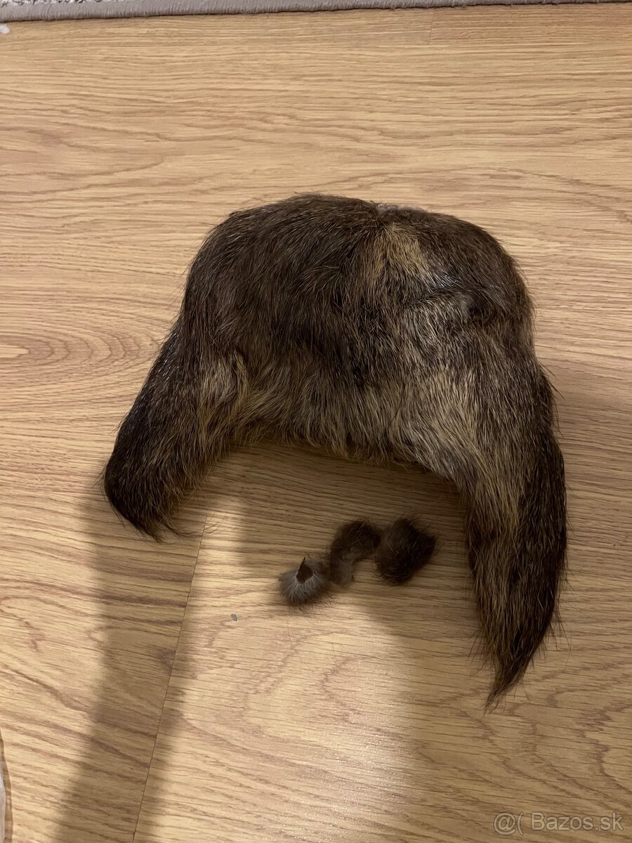 Baranica kožušina kožušinova ciapka práva kožušina líška asi - 5