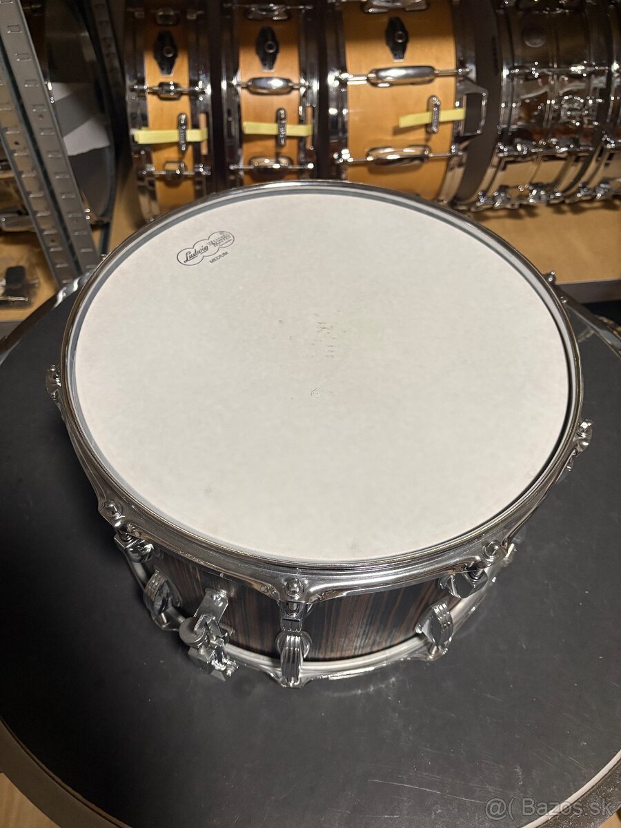 Ludwig Classic mapleMacassar Ebony - 5