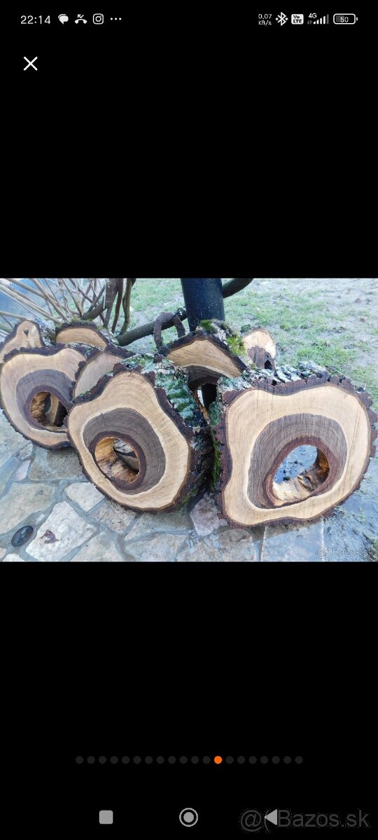 Drvené koláče - 5