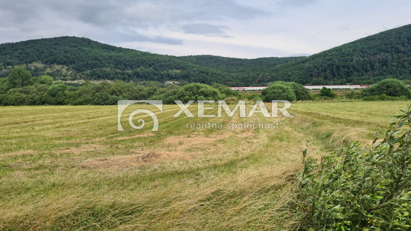 Na predaj stavebný pozemok v Detve - 5