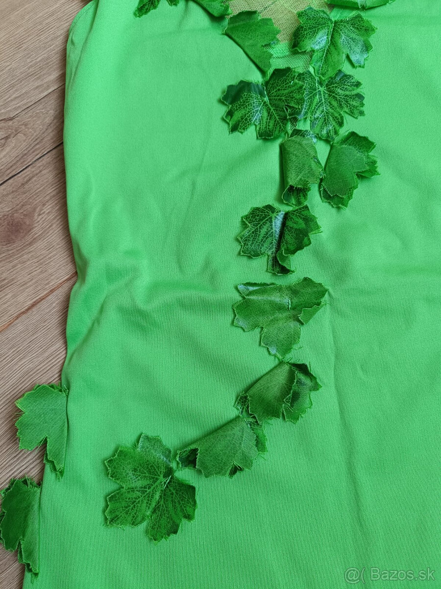 Kostym Vila s kridlami S - 5