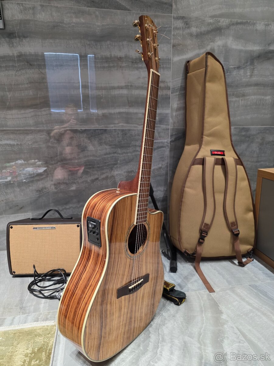 Elektroakusticka Fender - 5