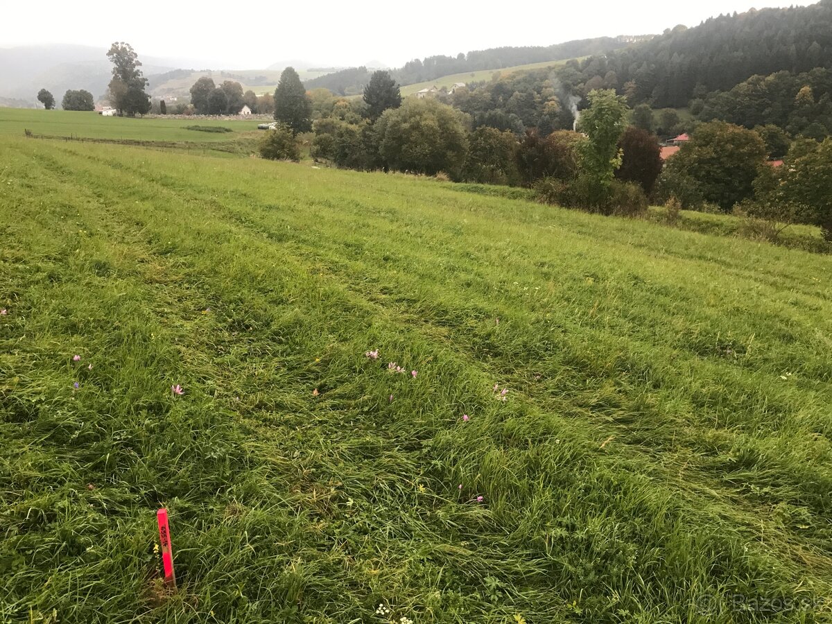 Krasny pozemok s vyhladom na Chopok - 5