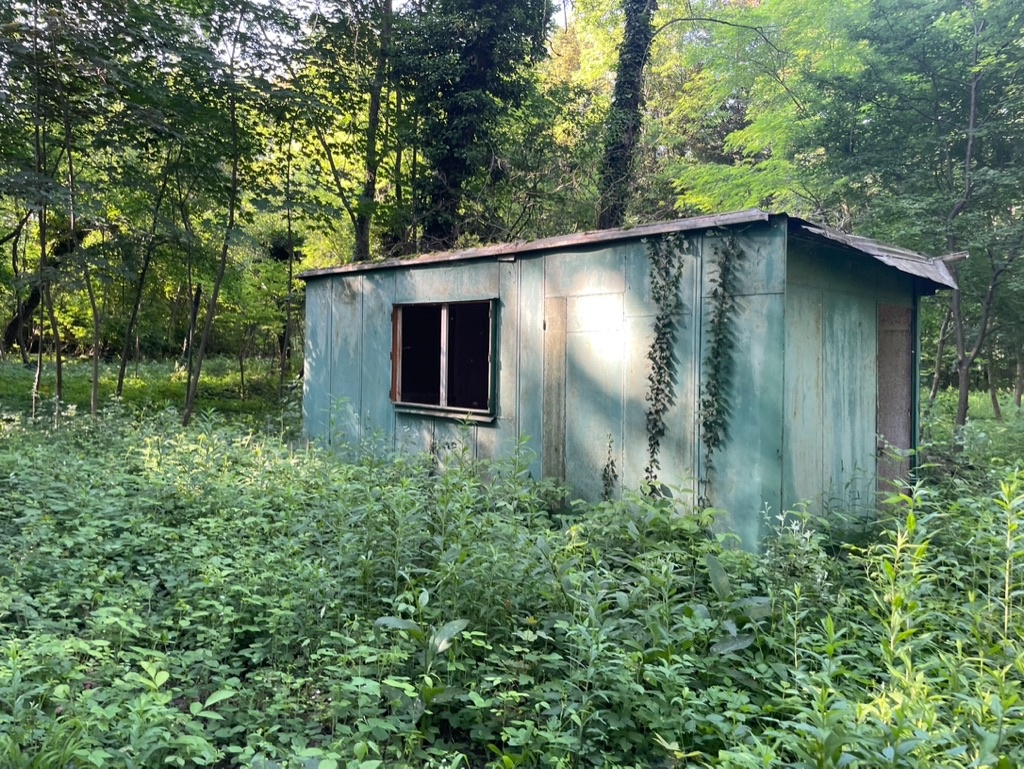 Veľkorysý pozemok v Tomášikove – hraničí s Malým Dunajom - 5