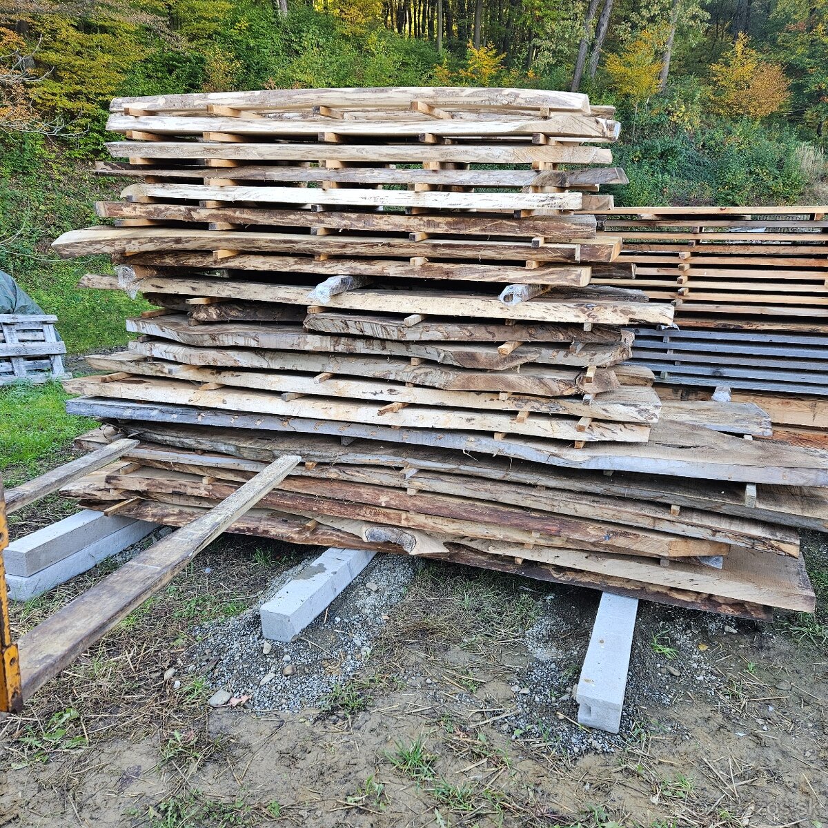 Vzduchosuche orechove rezivo - 5