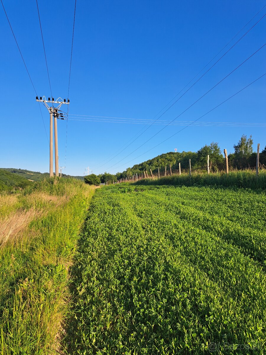 Košická Belá orná pôda - 5