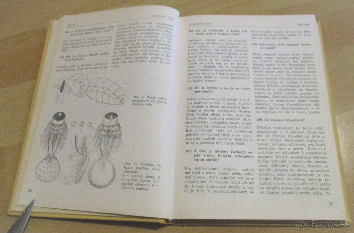 1000 otázok a odpovedí zo včelárstva - 5