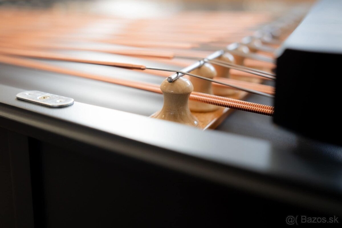 Predám Cimbal BOHÁK elektroakusticky - 5