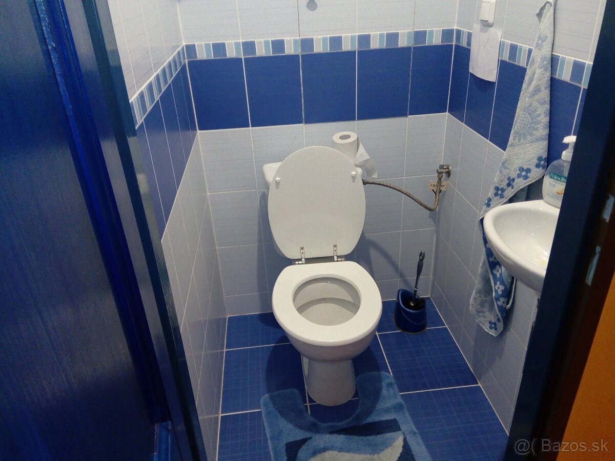 3-izb. byt terasa - 5