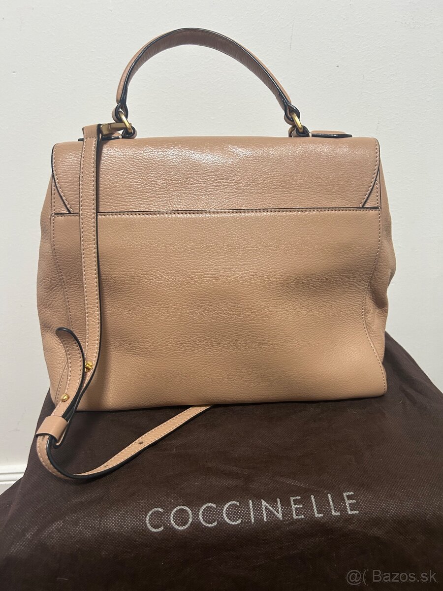 Coccinelle C14 large - 5