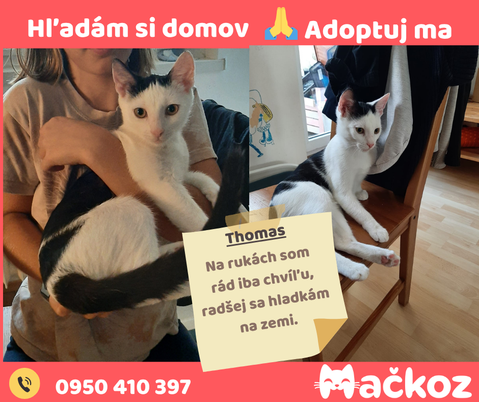 THOMAS a GABRIEL - DARUJEM KOCURIKA / KOCURIKOV NA ADOPCIU - 5