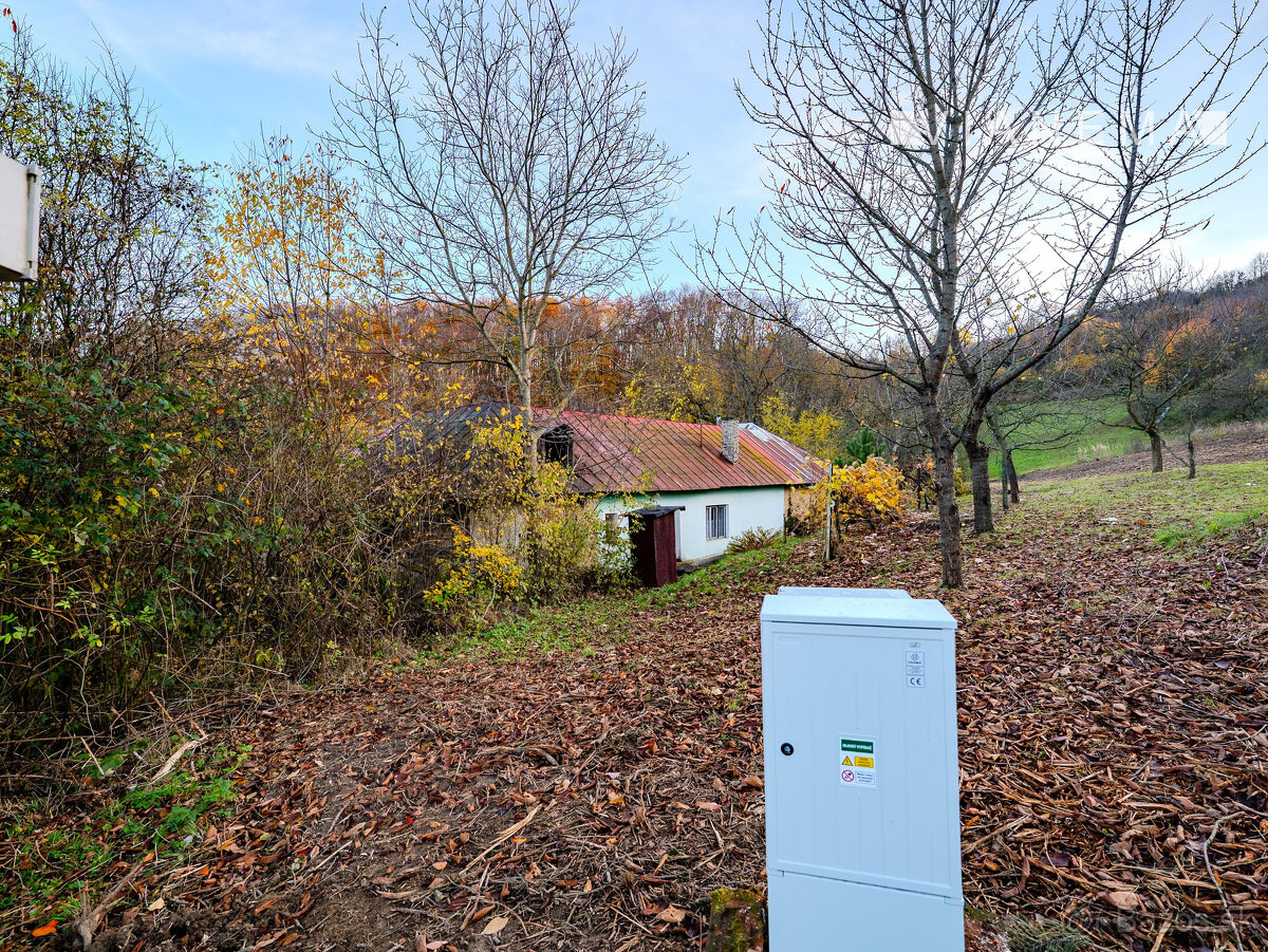 IBA U NÁSNa predaj dom v krásnom prostredí, Haluzice, 775m2 - 5