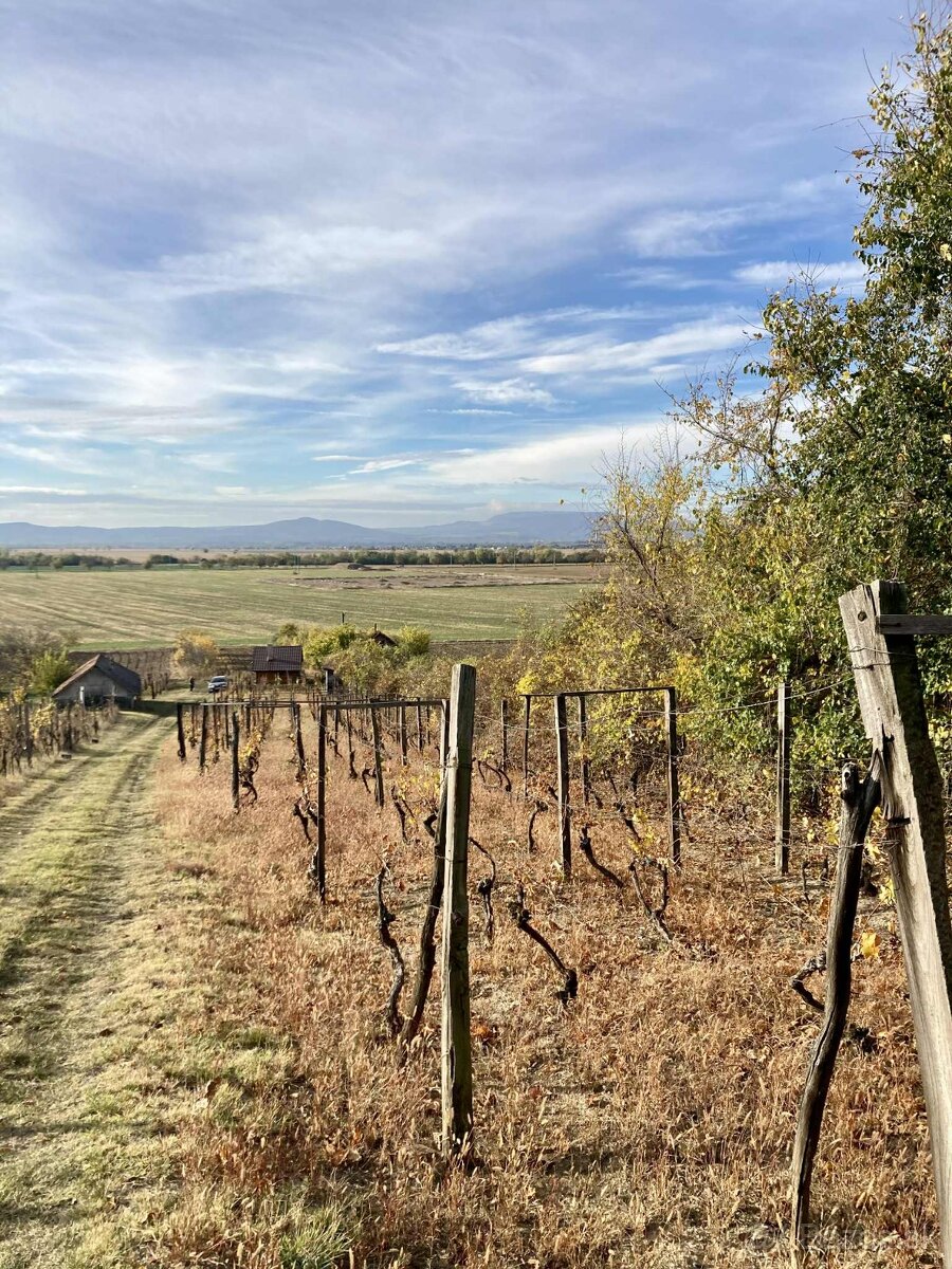 Vinica s chatkou – Hegyfarok, Kamenný Most – predaj/výmena - 5