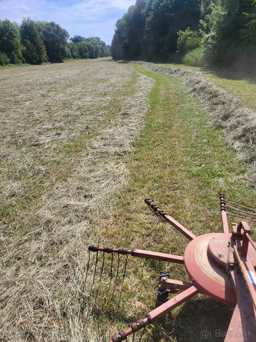 Seno možno doviesť - 5