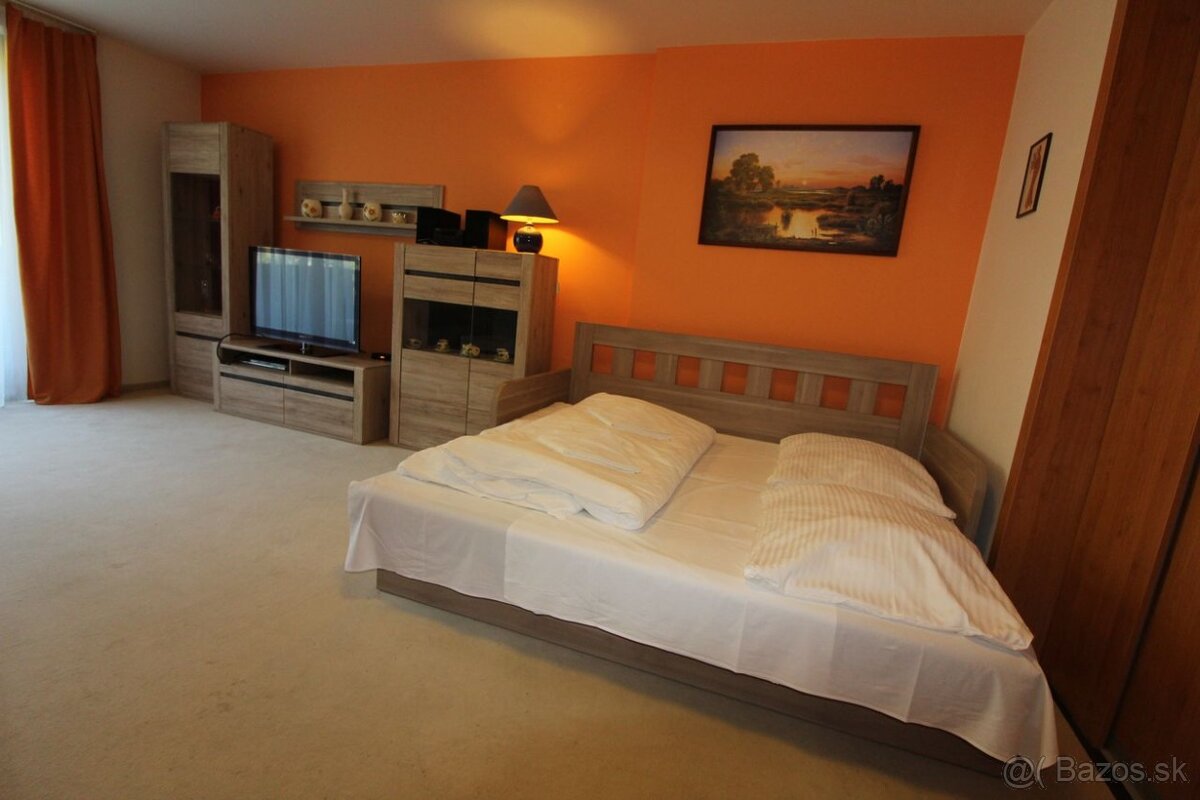 Apartmán v blízkosti jazera a lyžiarskeho strediska - Hrabov - 5