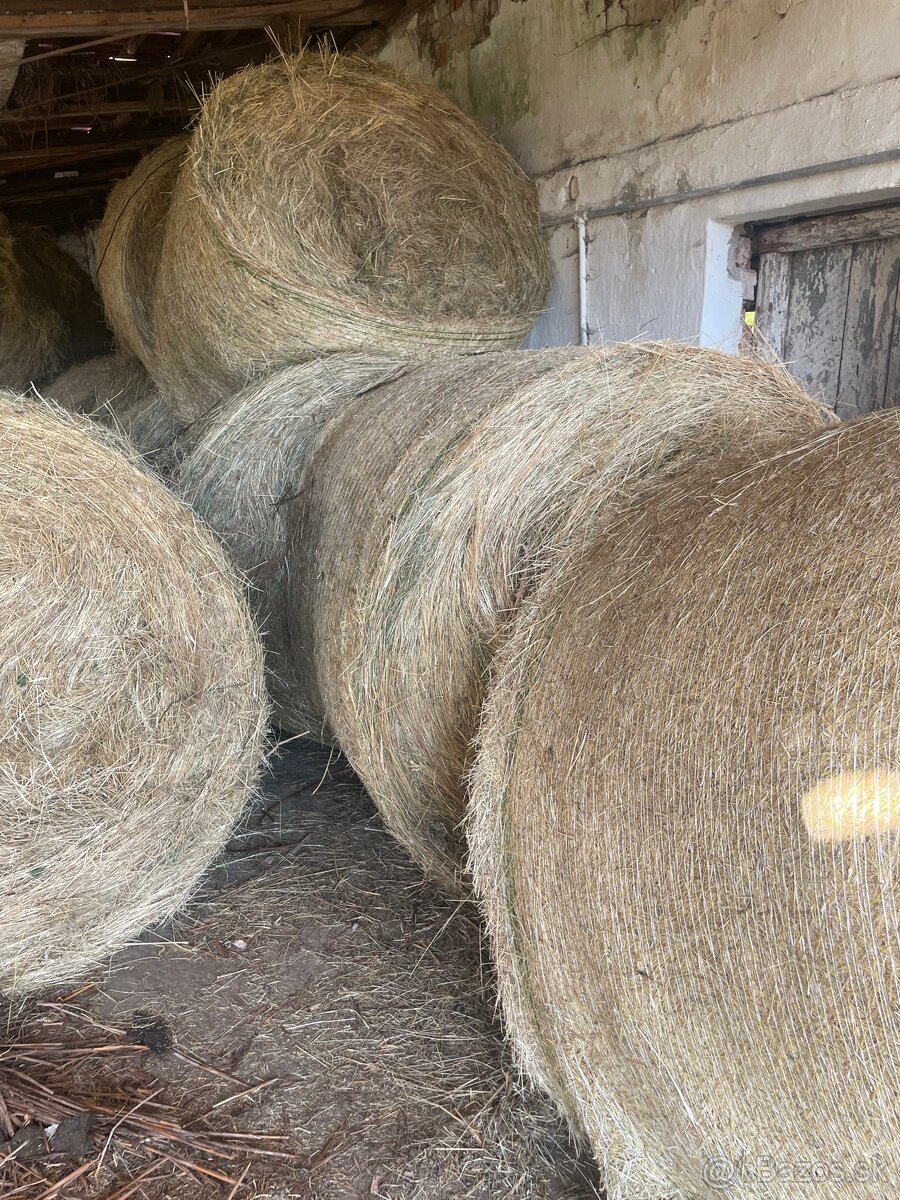 Okruhle baliky -seno - 5