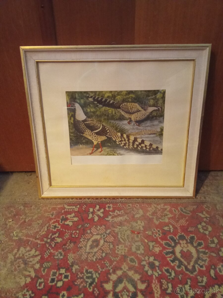 Predám rôzne obrazy - 5