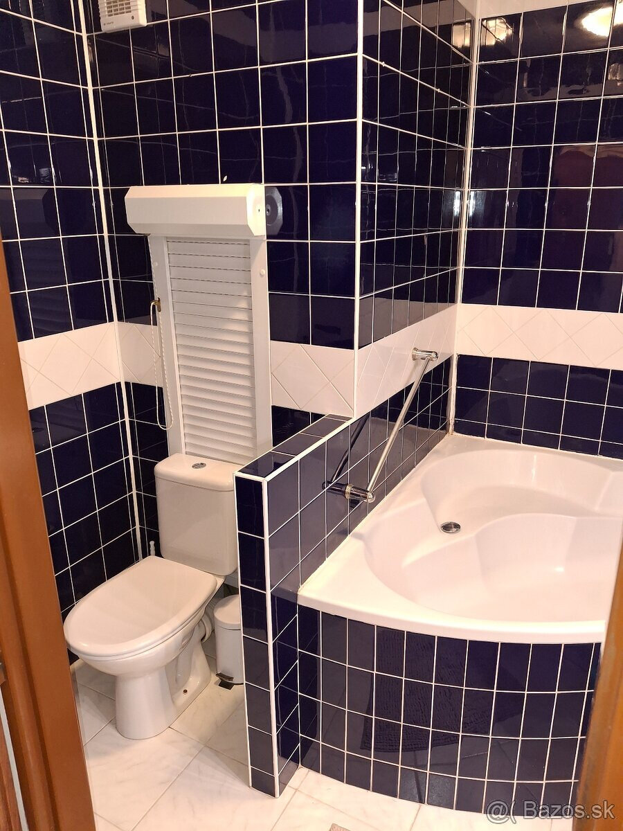 Prenajmem 3- izbový byt - 5