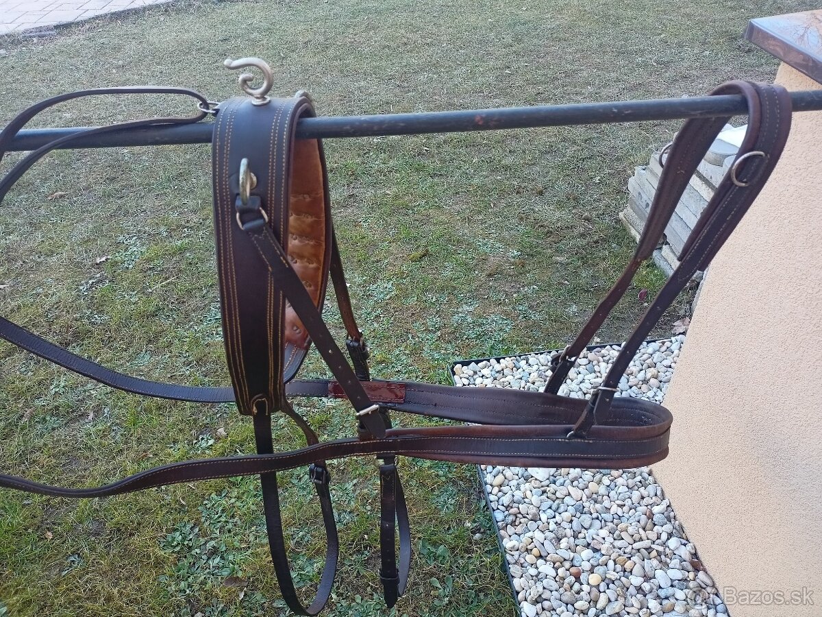 Hnedé kožené poprsne postroje na dva kone - 5