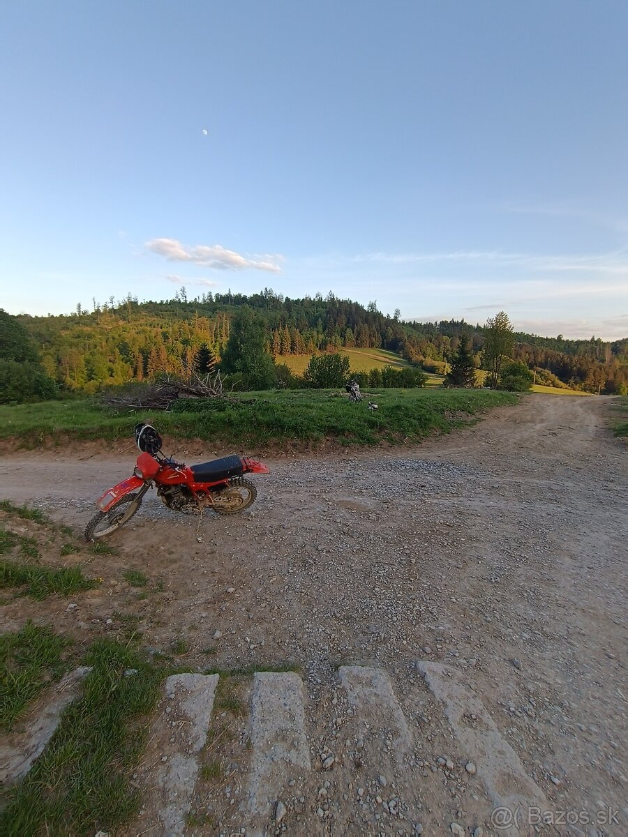 Honda xl 500