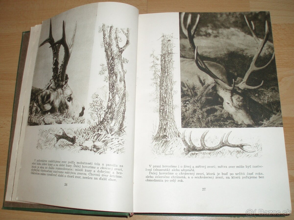 Poľovníctvo v obrazoch - 5