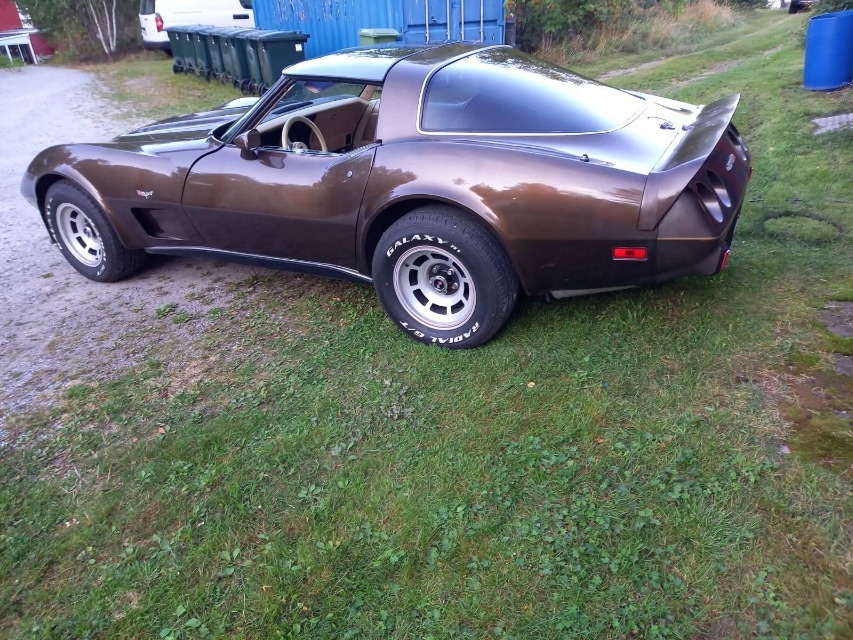 Chevrolet Corvette C3 z roku 1978 - 5
