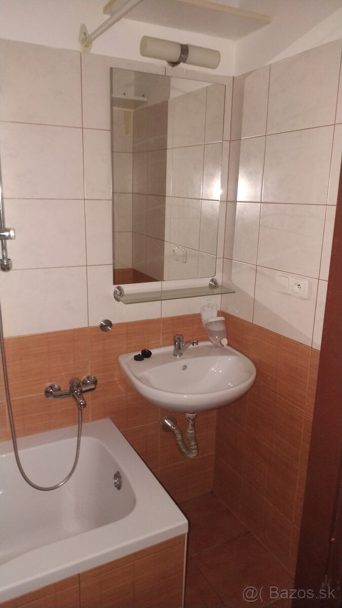 1 izbový byt na prenájom - 5