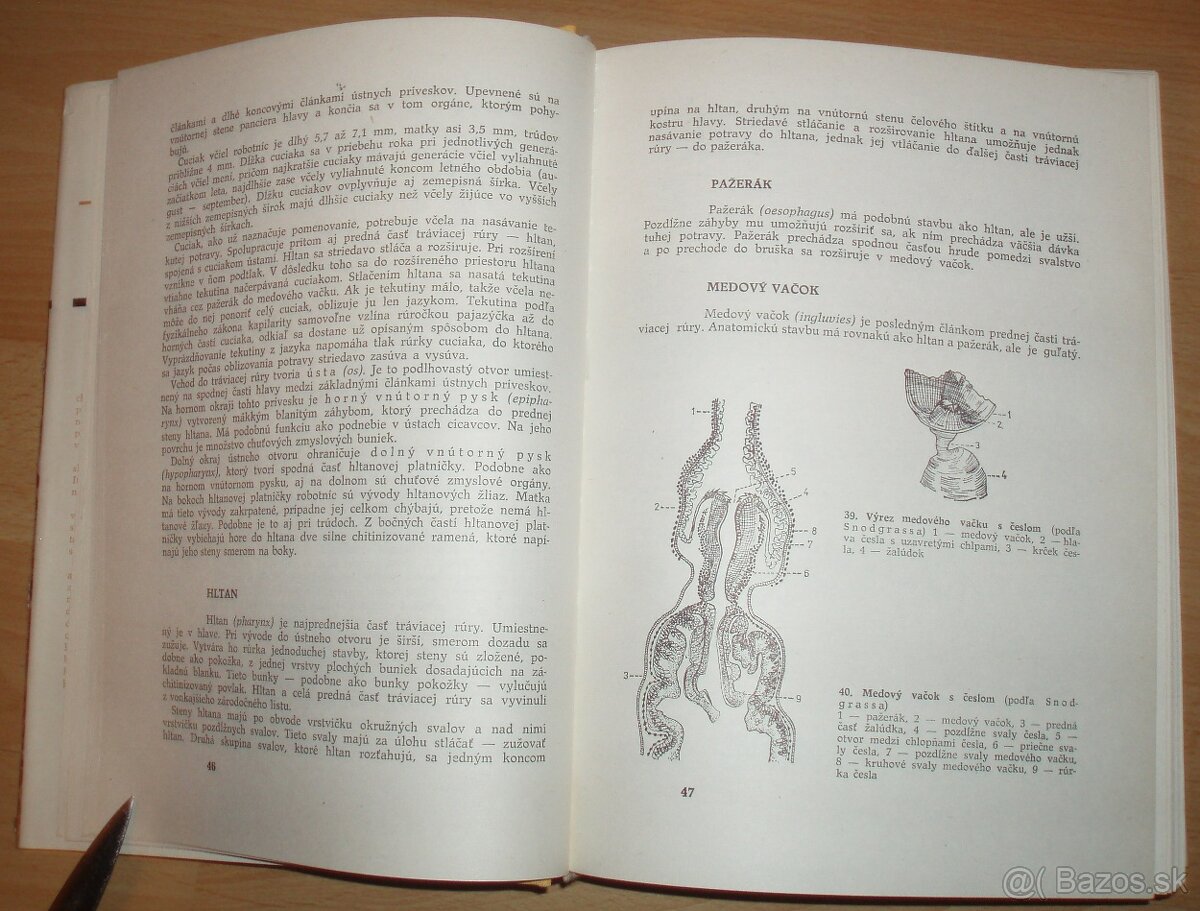 Včelárstvo - 5