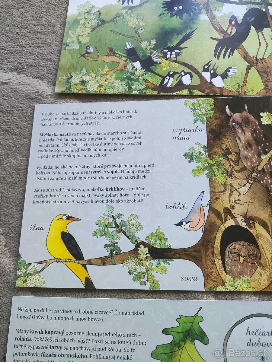 Strom (Katarzyna Bajerowiczová) - 5