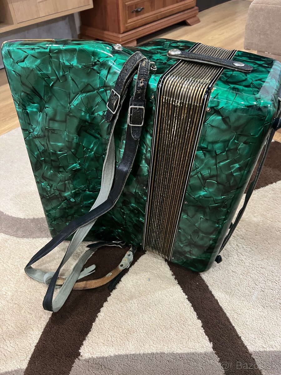 Harmonika-akordeón Lignatone - 5