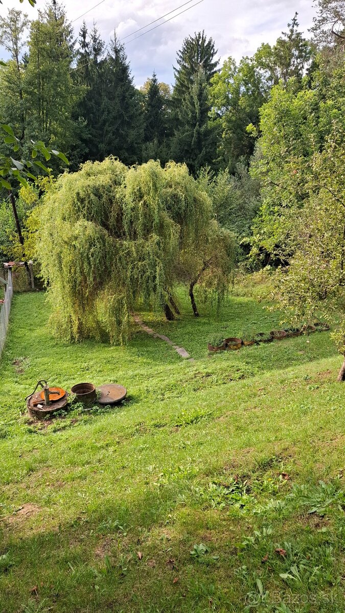 Záhradné chatky so záhradou - 5