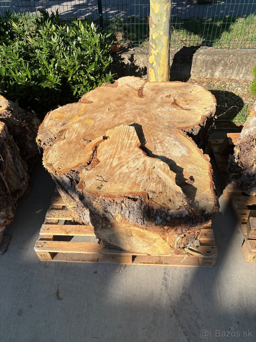 Drevené koláče - 5