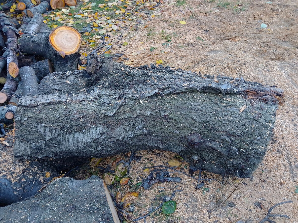 Čerešňové drevo - 5