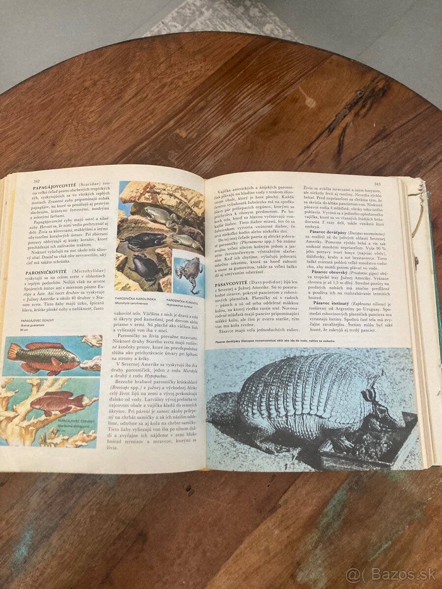 Svet živočíšnej ríše - 5