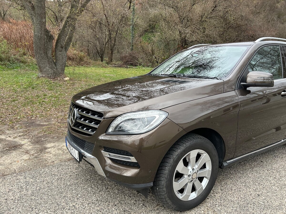 Mercedes ML250 GLE250 4Matic - 5