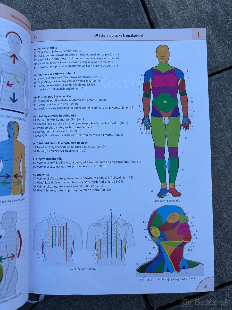 Memorix anatomie 6.vydanie - 5