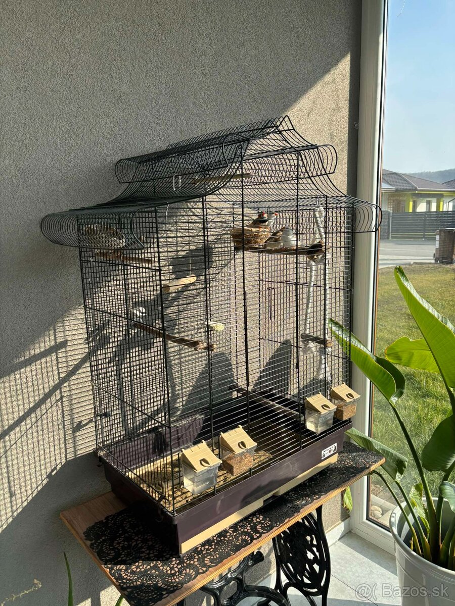 Elegantná retro klietka + ZEBRIČKY 2ks - 5