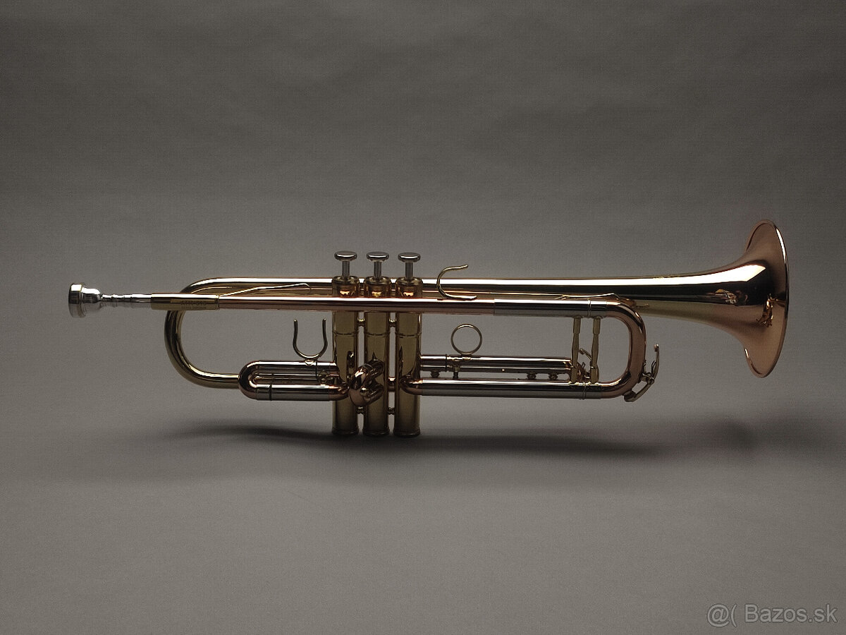 Trúbka Amati ATR 313 - 5