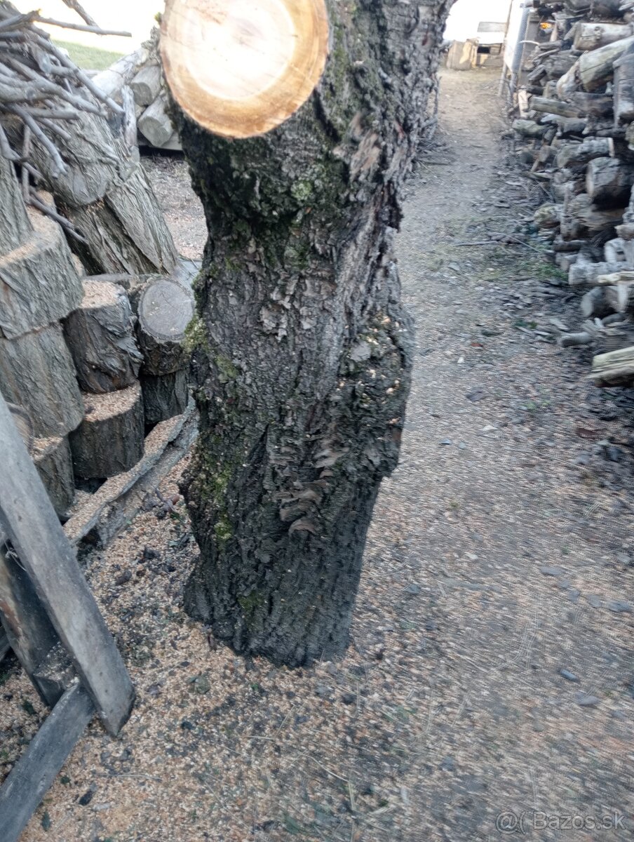 Ceresnové drevo - 5