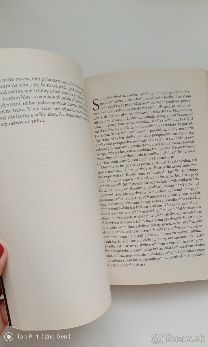 Isabelle Autissier - Náhle, sami - 5