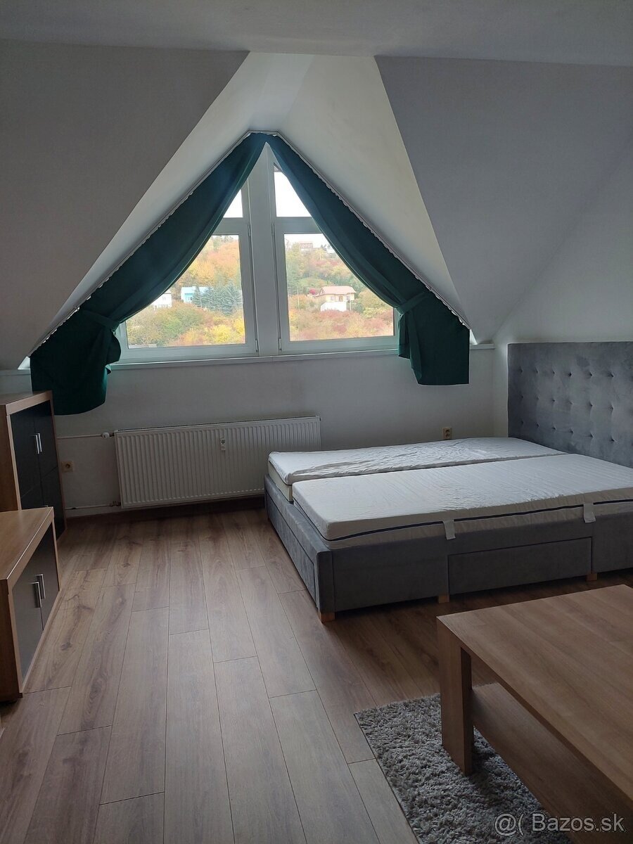 Prenájom 1 izbový byt - 5