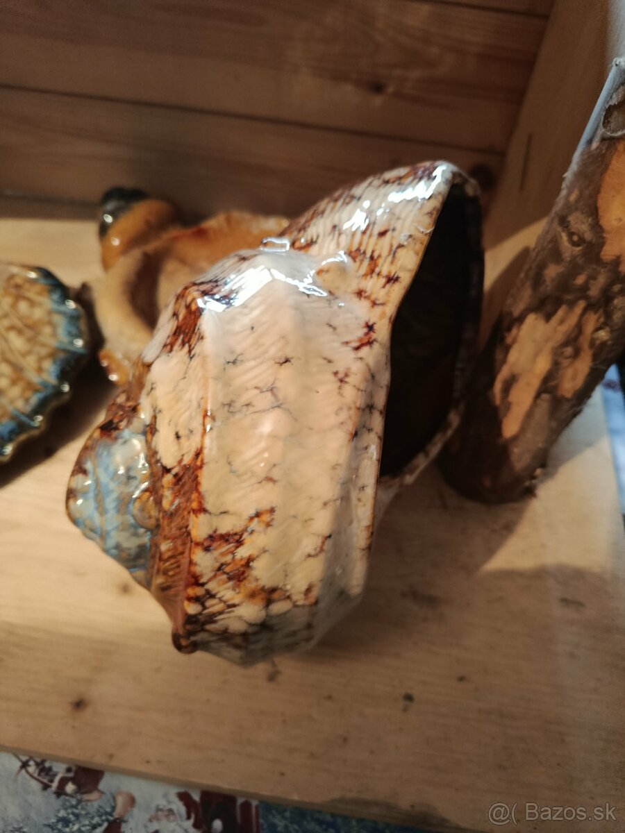 Velké keramické mušle - 5