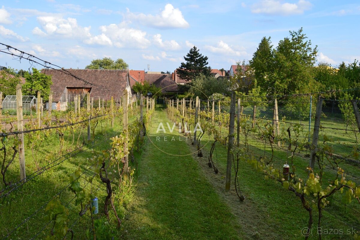 TOP NA PREDAJ: zaujímavý pozemok 740m2 - Smolenice - 5