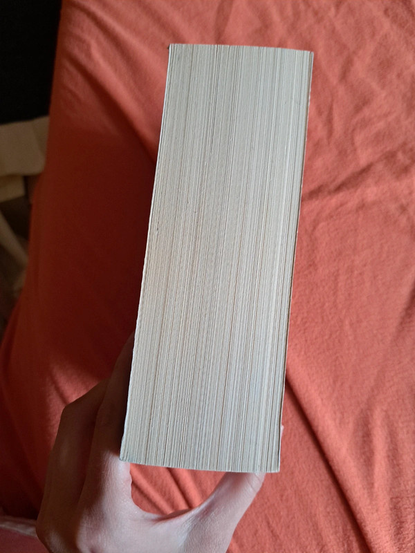 Lisa J. Smith - Tagebuch eines Vamiprs - 5