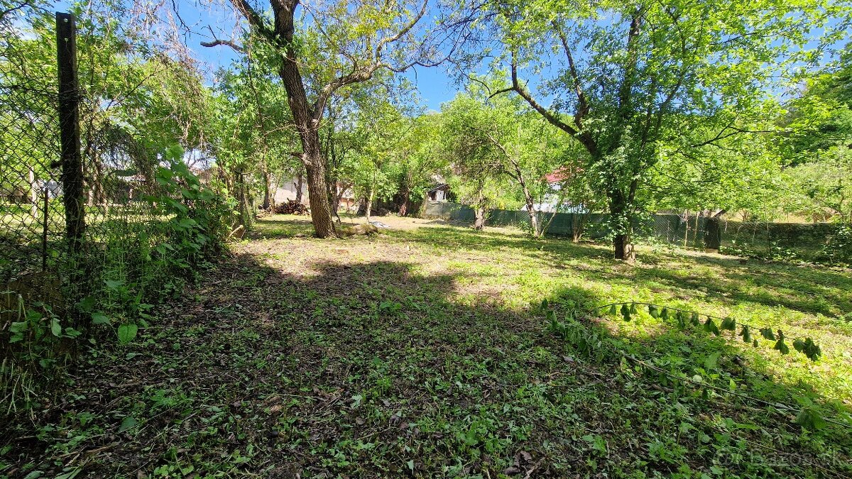 Fotografia 5